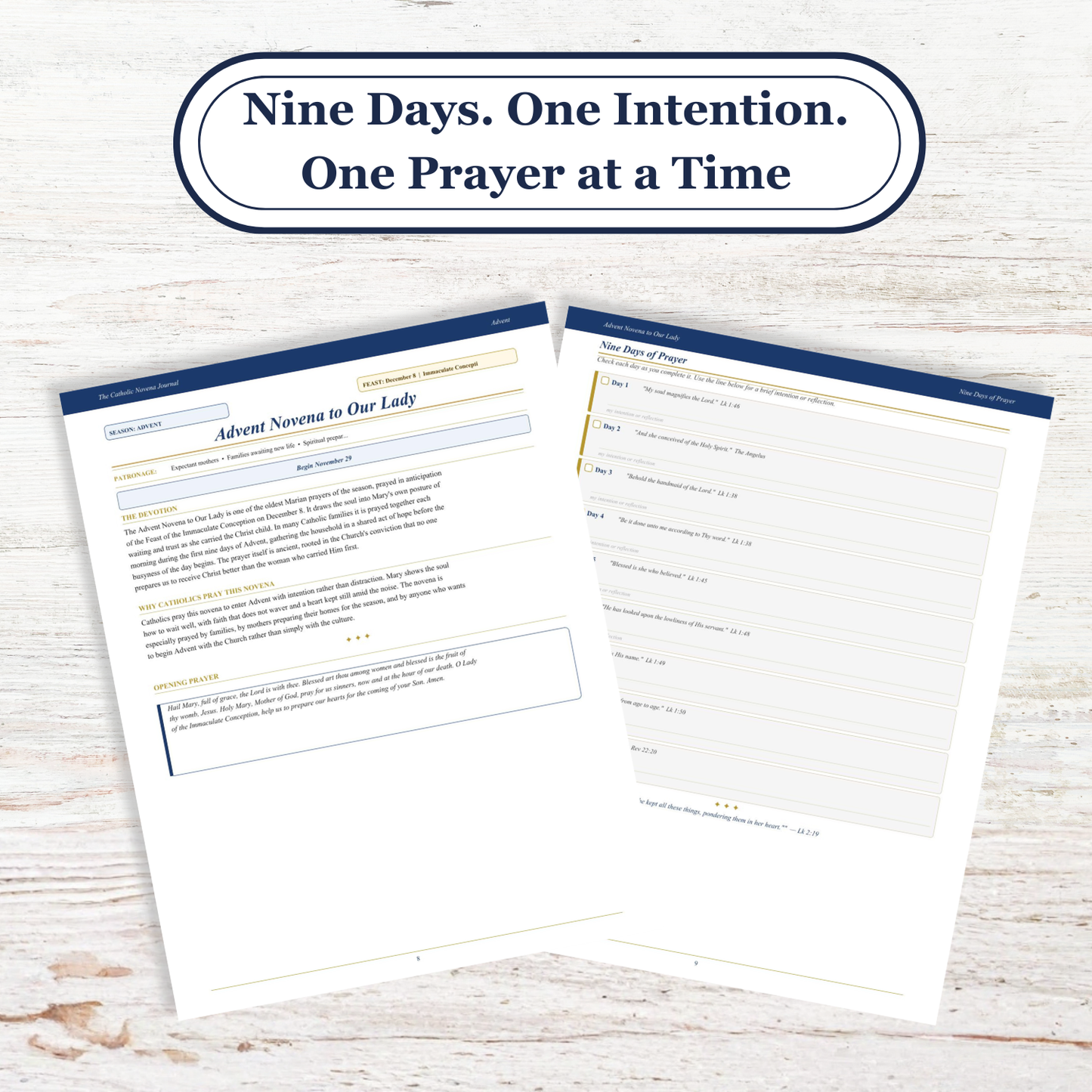 Catholic Novena Journal, Liturgical Year Prayers, 27 Novenas, Guided Tracker (PDF Download)
