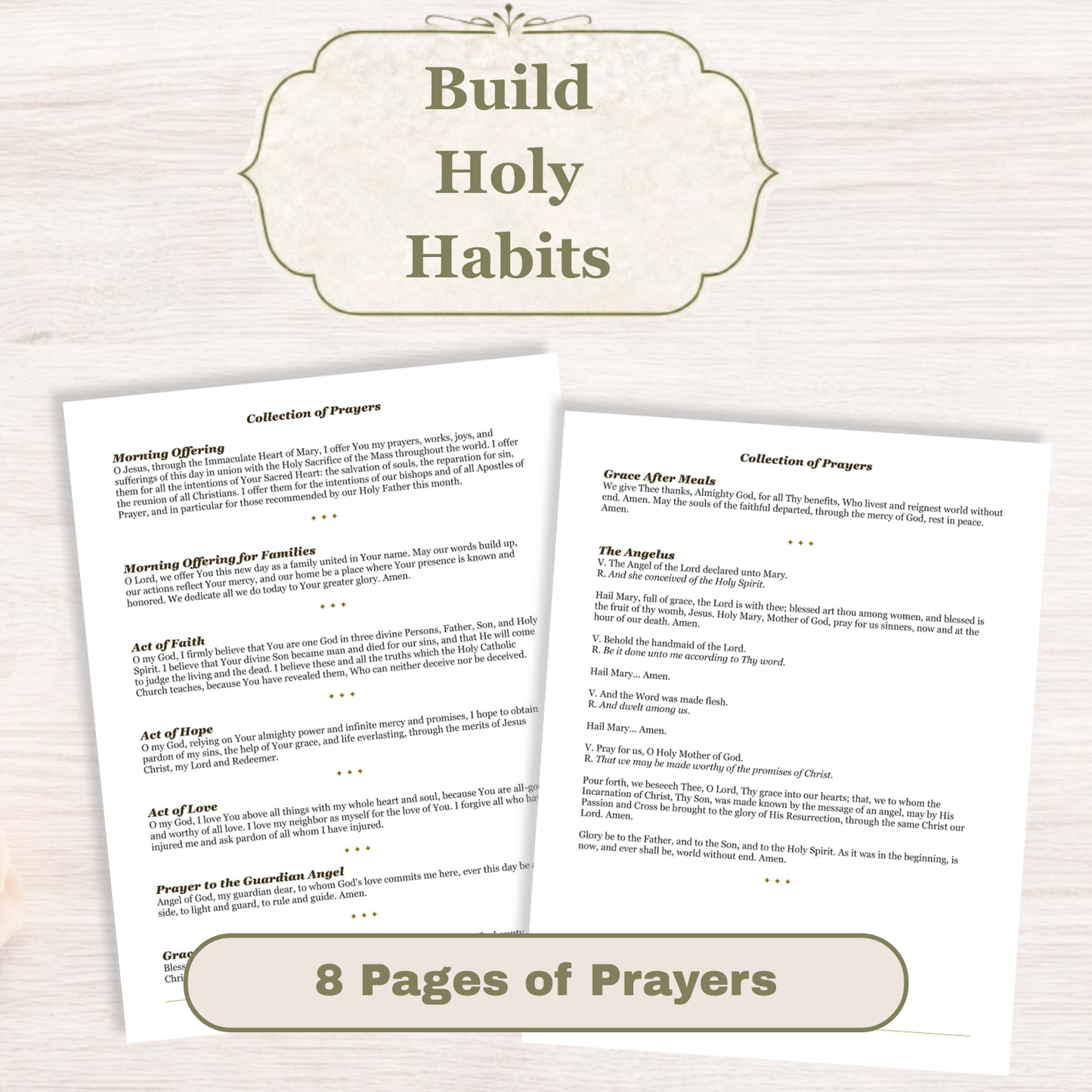 Traditional Latin Mass Catholic Planner 2026-2027 | Dashboard Weekly Layout | Printable PDF