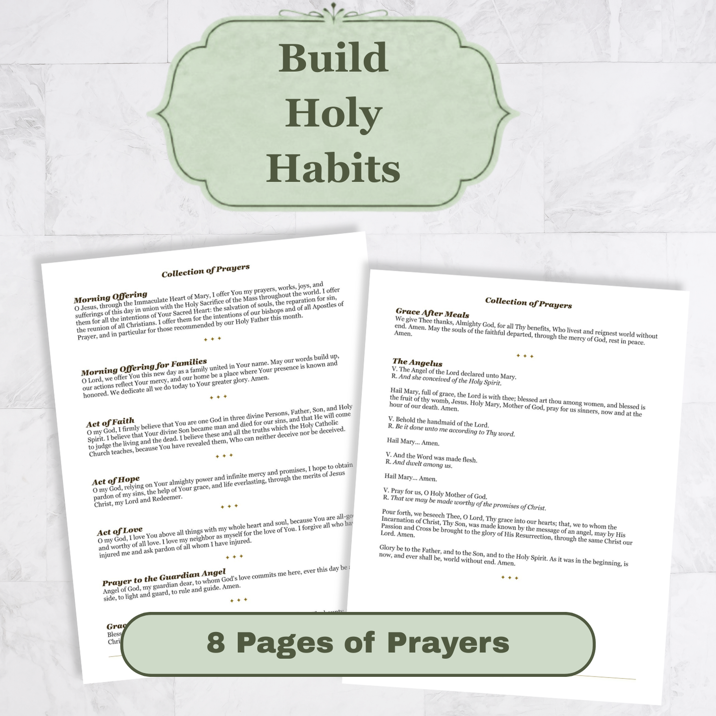 Traditional Latin Mass Catholic Planner 2026-2027 | Hourly Weekly Layout | Printable PDF